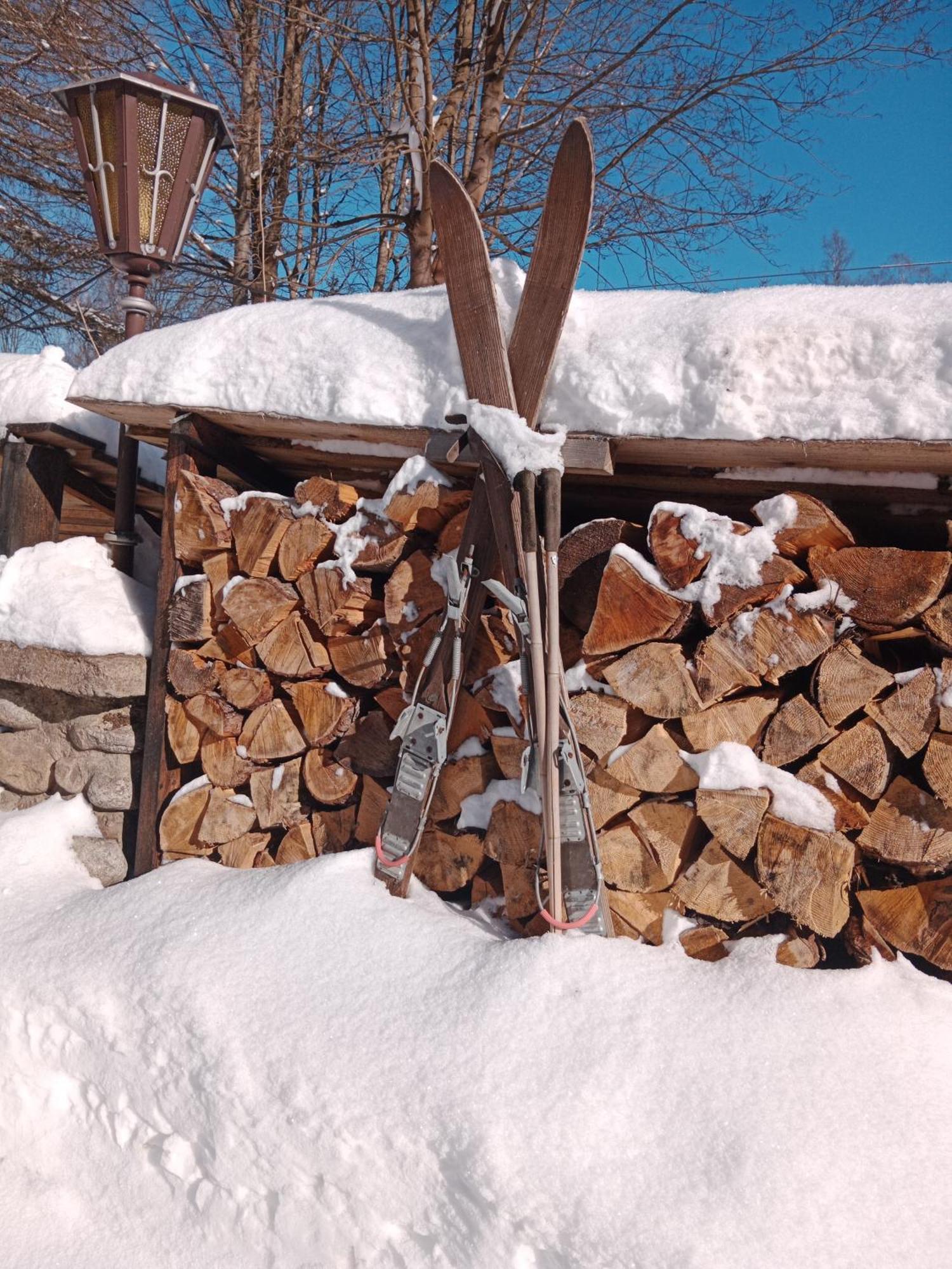 Penzion & Restaurant Pod Certakem Hotel Harrachov Kültér fotó